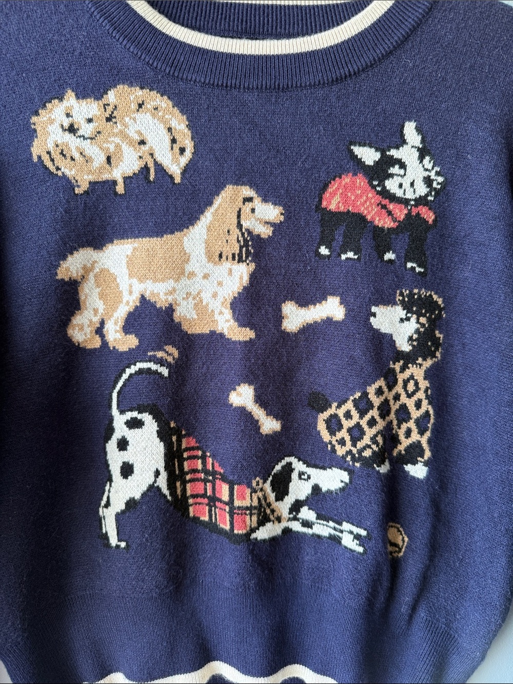 Cider Navy Crewneck Sweater with Dog Motif and Cream Trim small poodle - Picture 2 of 5